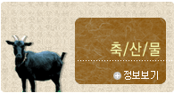 ��깰 ��������
