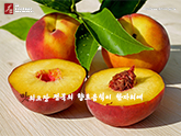 [��â]���ȭ�� - ���� ���� ������ ���� ������ ���ڸ���