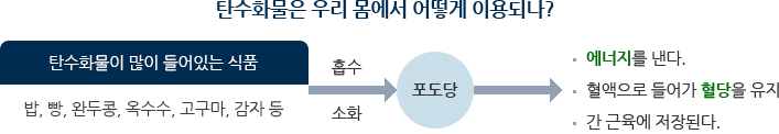 ź¼öȹ°Àº ¿ì¸® ¸ö¿¡¼ ¾î¶»°Ô ÀÌ¿ëµÇ³ª?